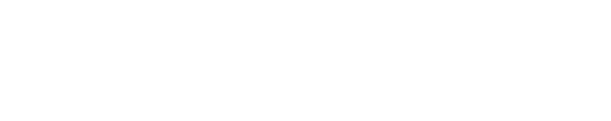 Carahsoft