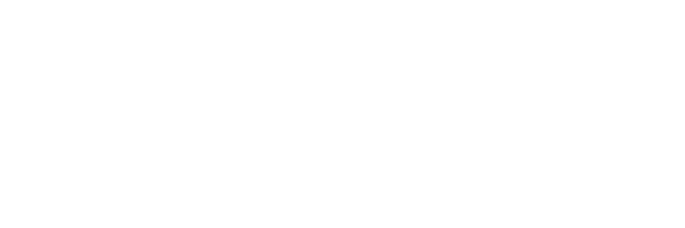 Ocient National Security Solutions (ONSS) logo
